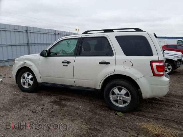 2010 FORD ESCAPE - VIN: 1FMCU0DG8AKD17664 - Фото 2