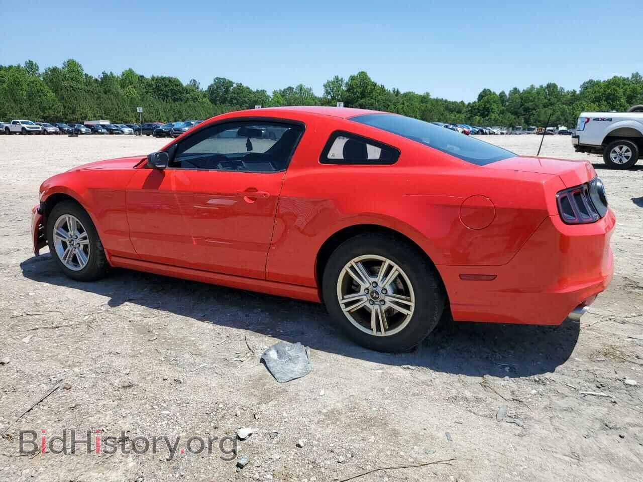 2013 FORD ALL Models - VIN: 1ZVBP8AMXD5241686 - Фото 2