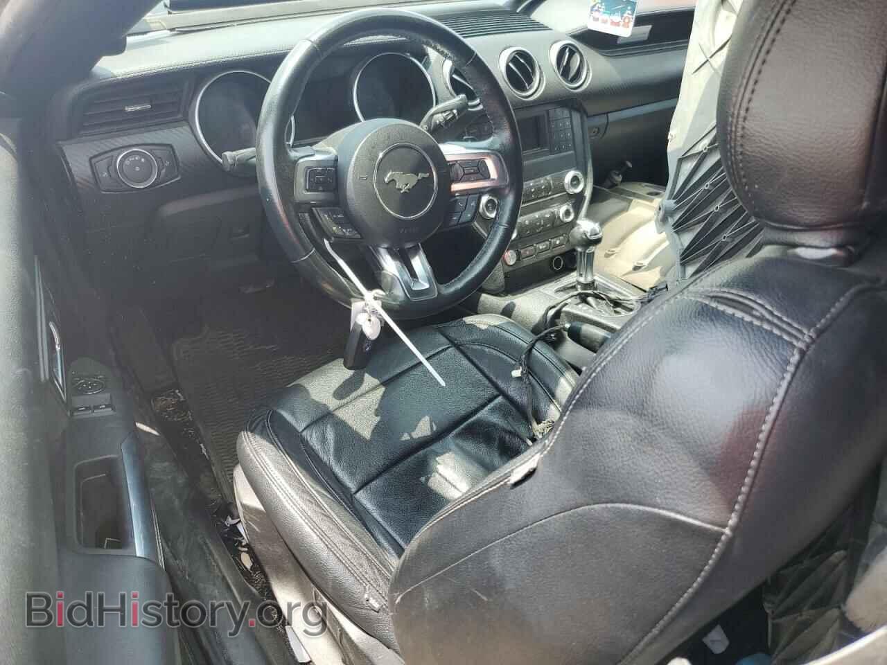 2019 FORD ALL Models - VIN: 1FA6P8TH5K5125125 - Фото 8