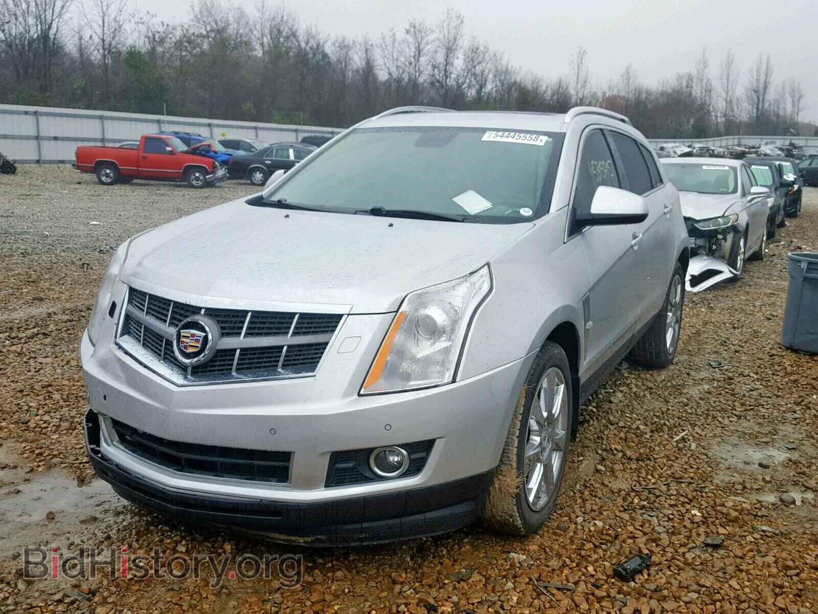 2011 CADILLAC SRX PERFOR - VIN: 3GYFNEEY7BS580280 - Фото 2