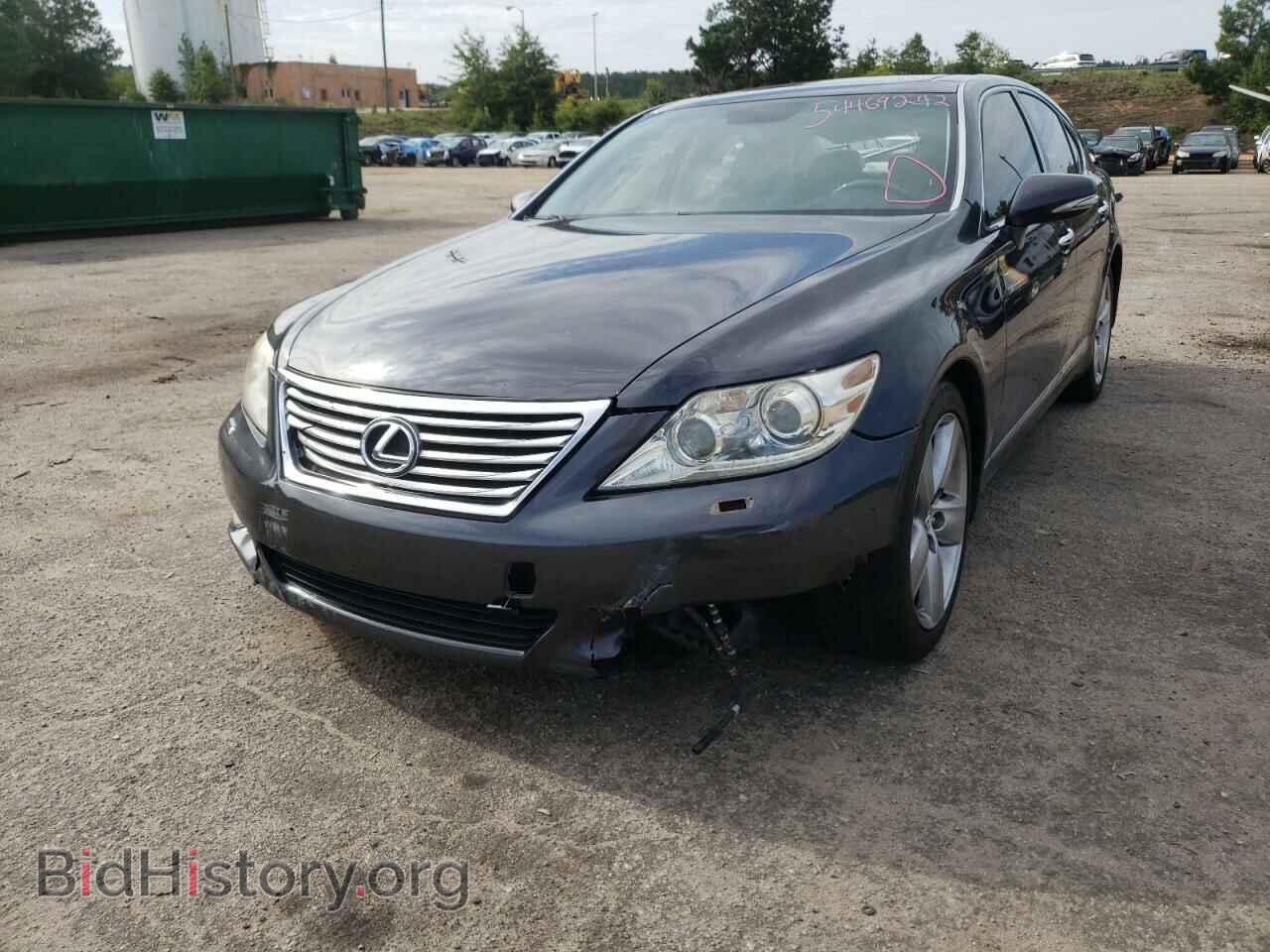 2011 LEXUS LS460 - VIN: JTHBL5EF7B5104113 - Фото 2