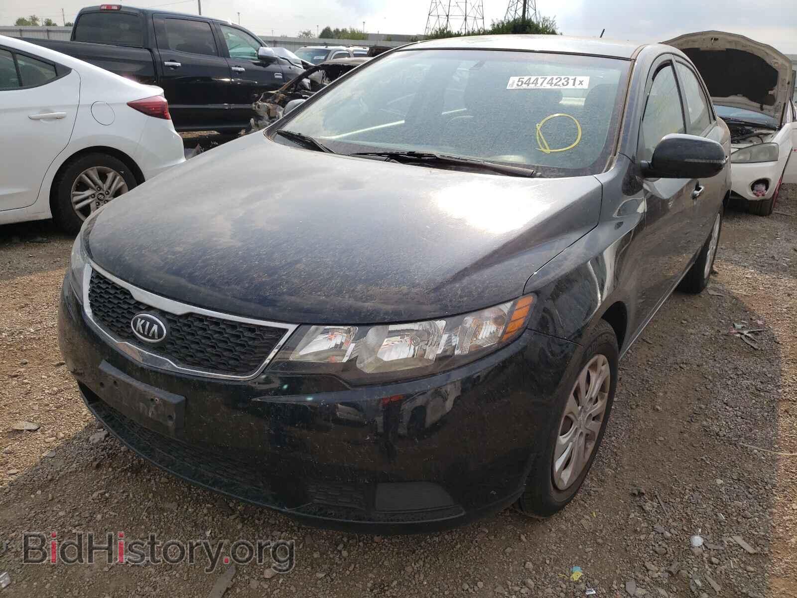 2012 KIA FORTE - VIN: KNAFU4A2XC5520958 - Фото 2