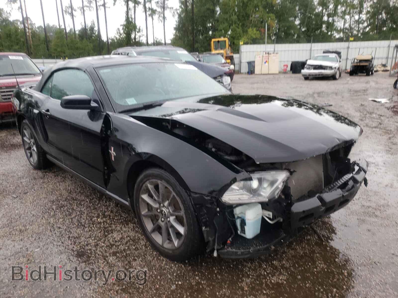 Photo 1ZVBP8EMXC5236111 - FORD MUSTANG 2012
