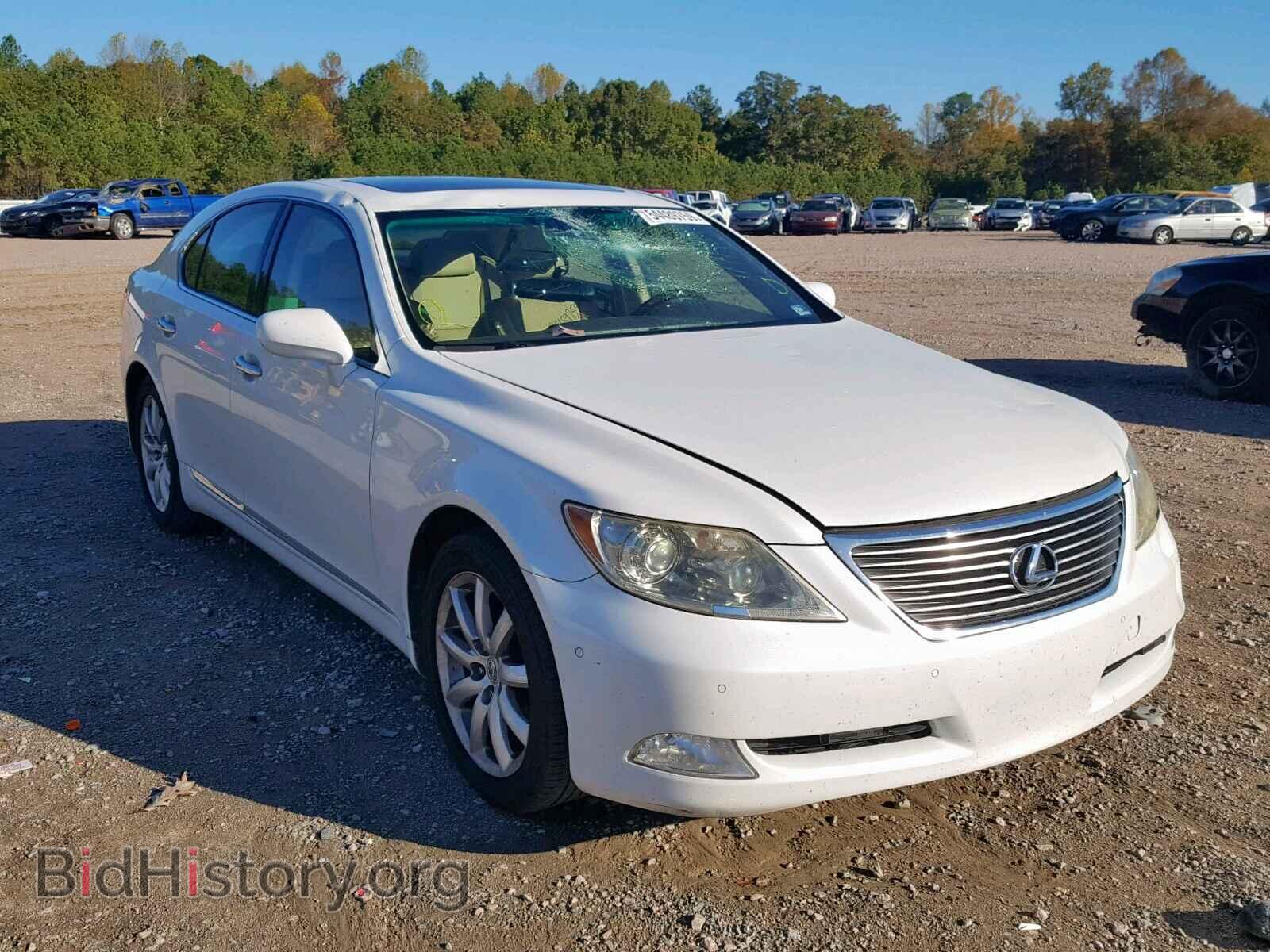 Фотография JTHBL46F085079282 - LEXUS LS460 2008