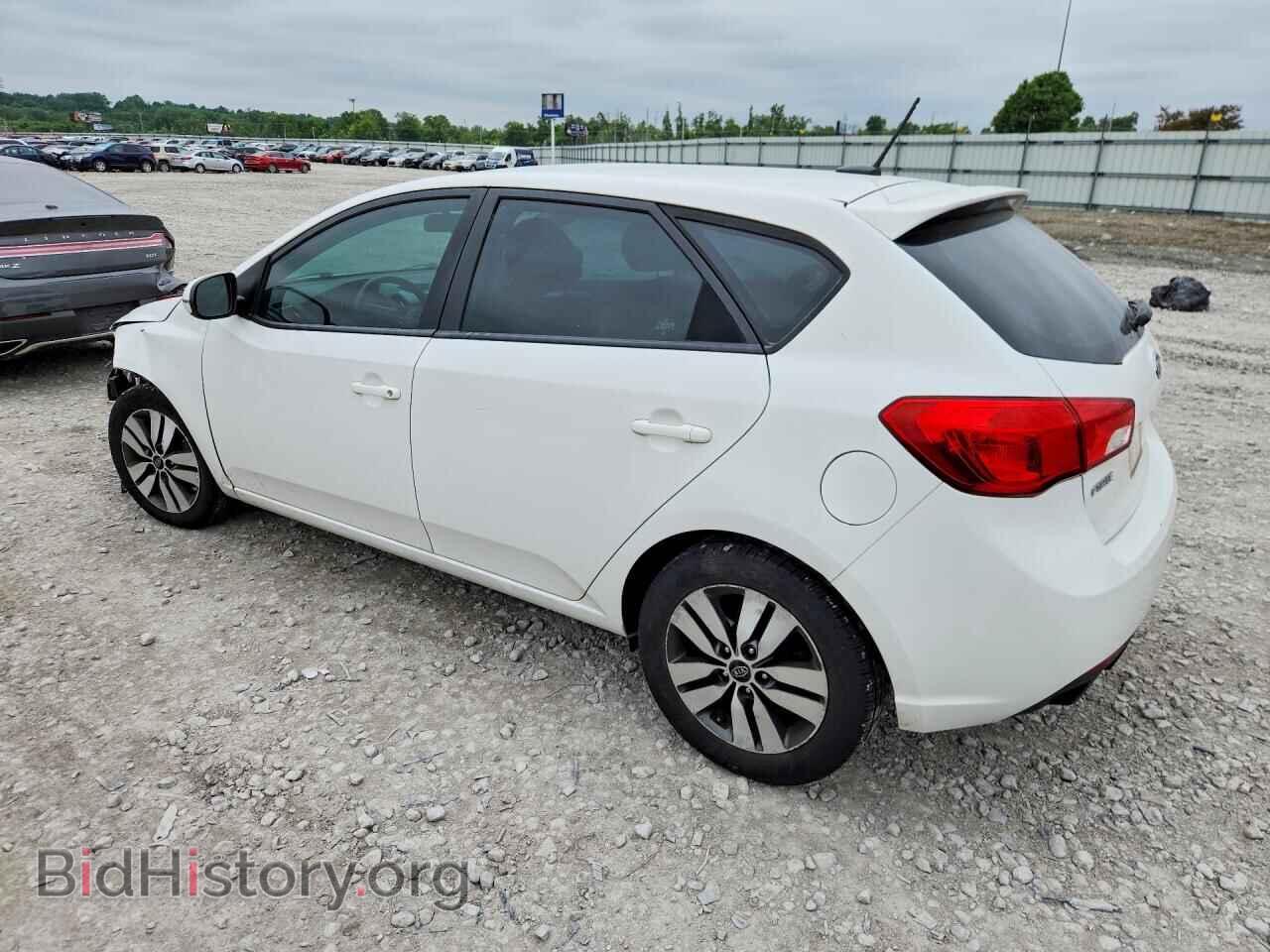 2013 KIA FORTE - VIN: KNAFU5A26D5744591 - Фото 2