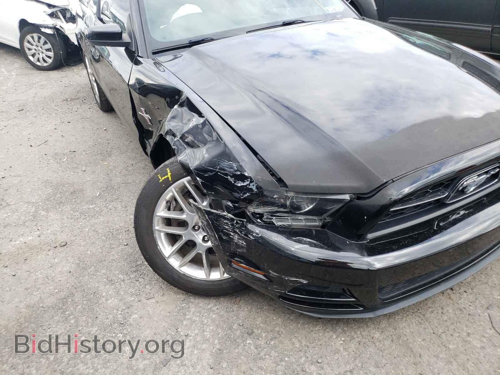 2013 FORD MUSTANG - VIN: 1ZVBP8AM2D5273838 - Фото 9