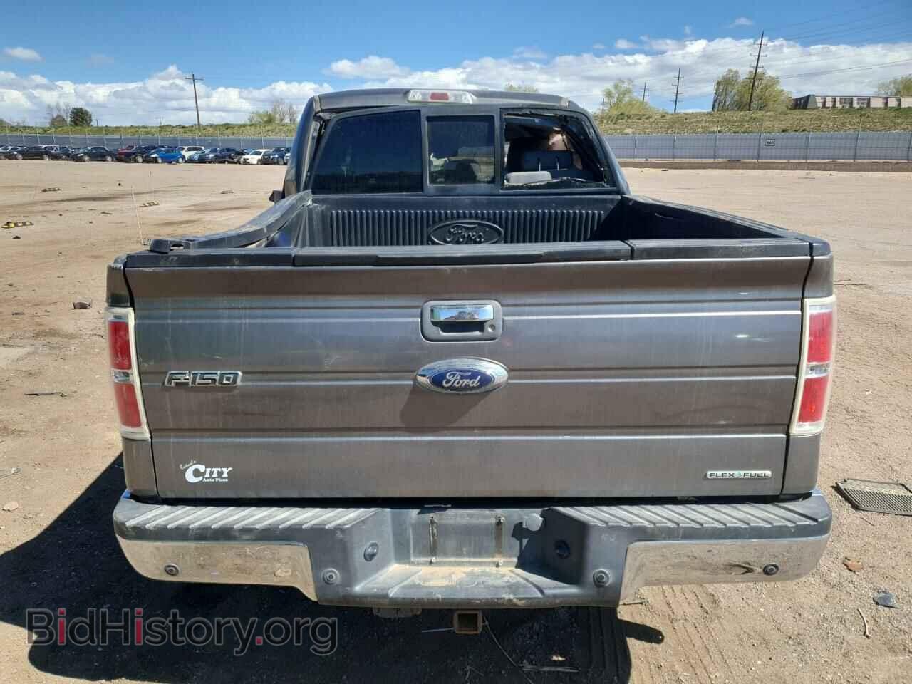2013 FORD F-150 - VIN: 1FTFW1EF1DFB02874 - Фото 6