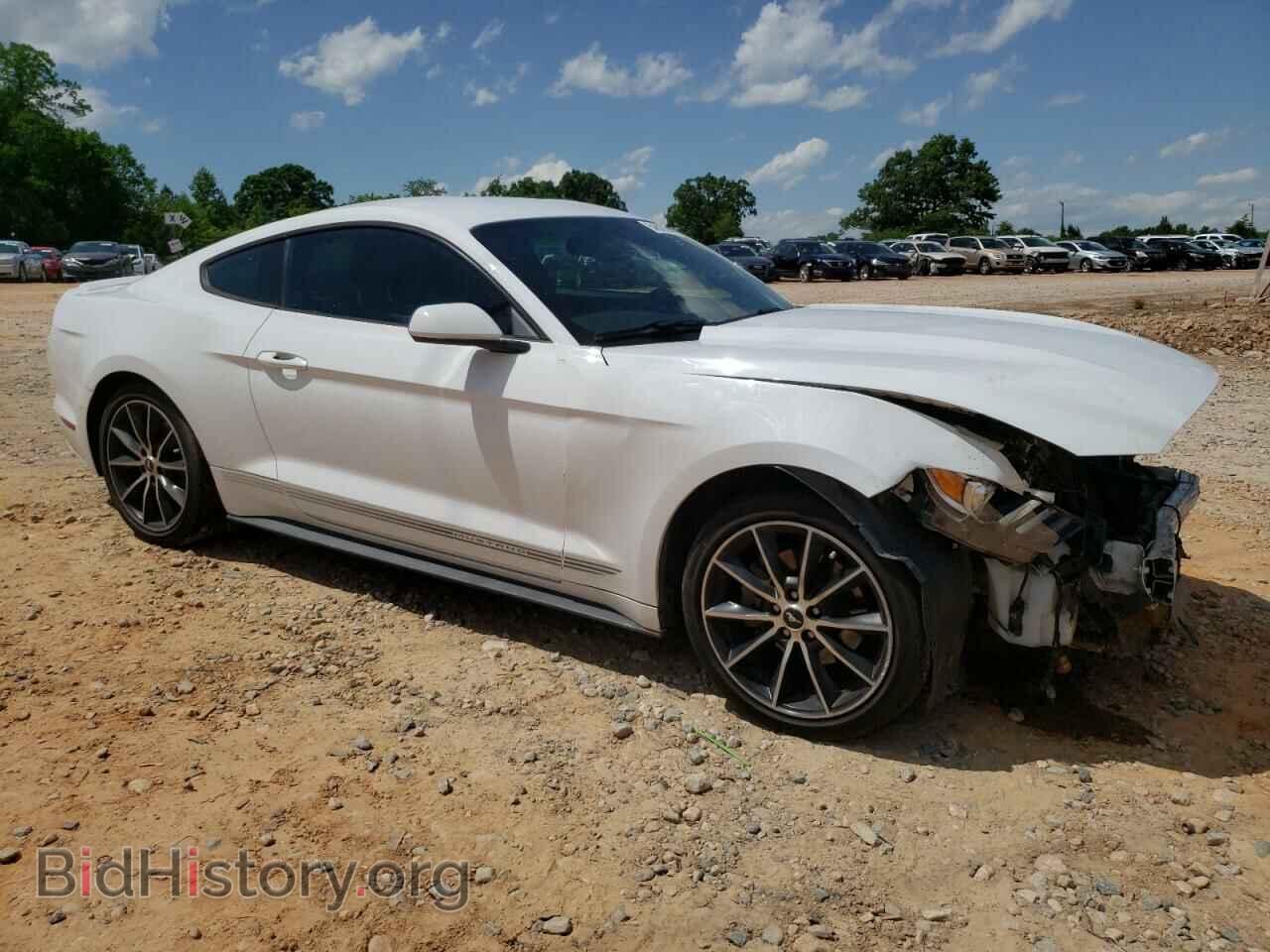 2017 FORD ALL Models - VIN: 1FA6P8TH5H5255558 - Фото 4