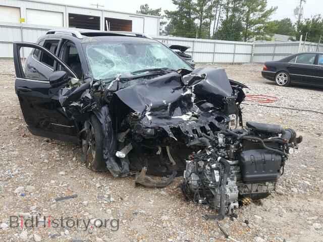 Фотография 1C4PJLDB0KD171285 - JEEP CHEROKEE 2019