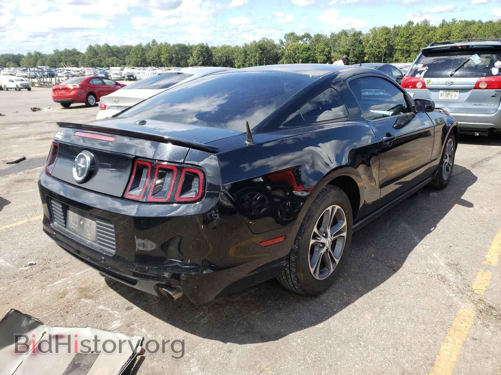 2013 FORD MUSTANG - VIN: 1ZVBP8AM4D5275798 - Фото 4
