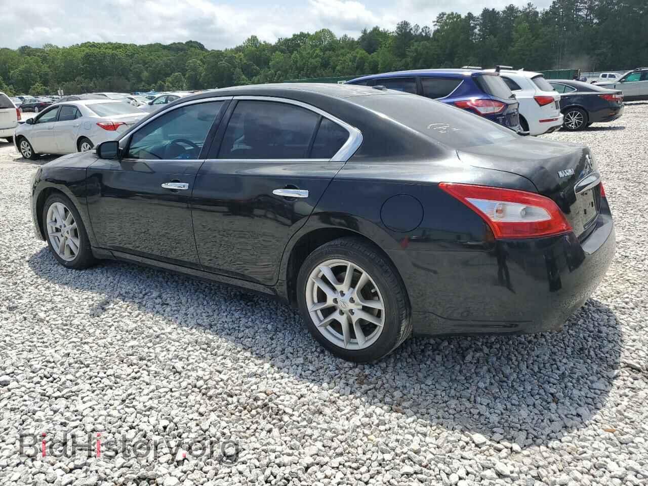 2009 NISSAN MAXIMA - VIN: 1N4AA51E79C858253 - Фото 2