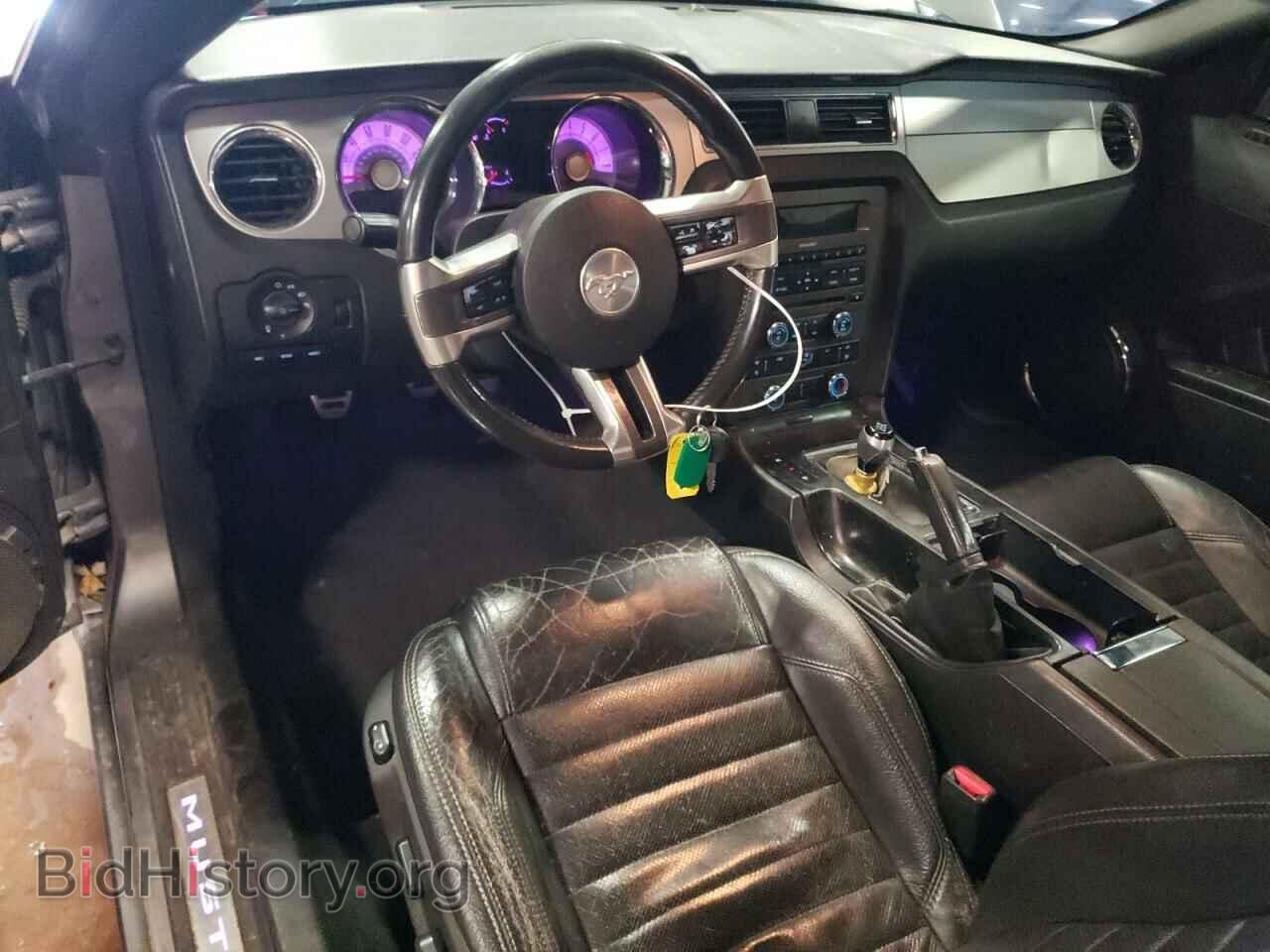 2010 FORD MUSTANG - VIN: 1ZVBP8CH5A5119877 - Фото 8
