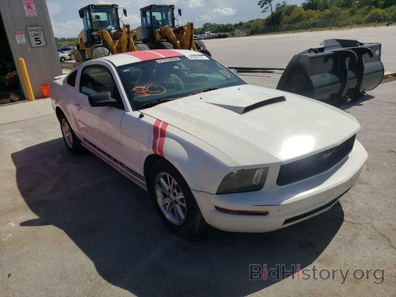 Photo 1ZVHT80N985191241 - FORD MUSTANG 2008