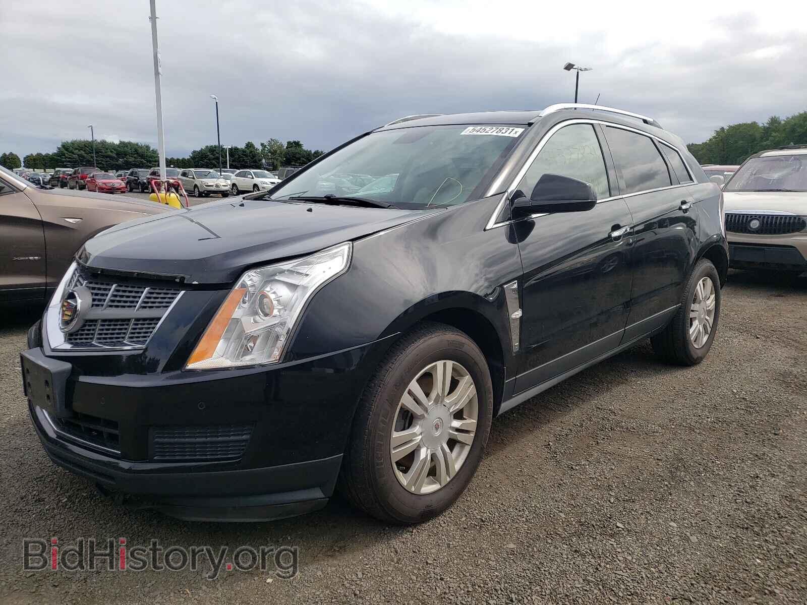 2011 CADILLAC SRX - VIN: 3GYFNDEY9BS569579 - Фото 2