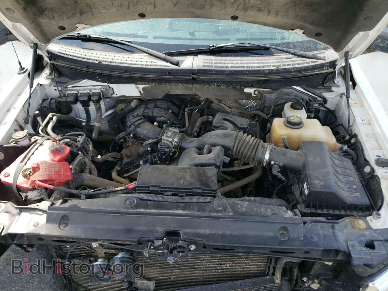 2012 FORD F150 - VIN: 1FTMF1EM1CFC10433 - Фото 7