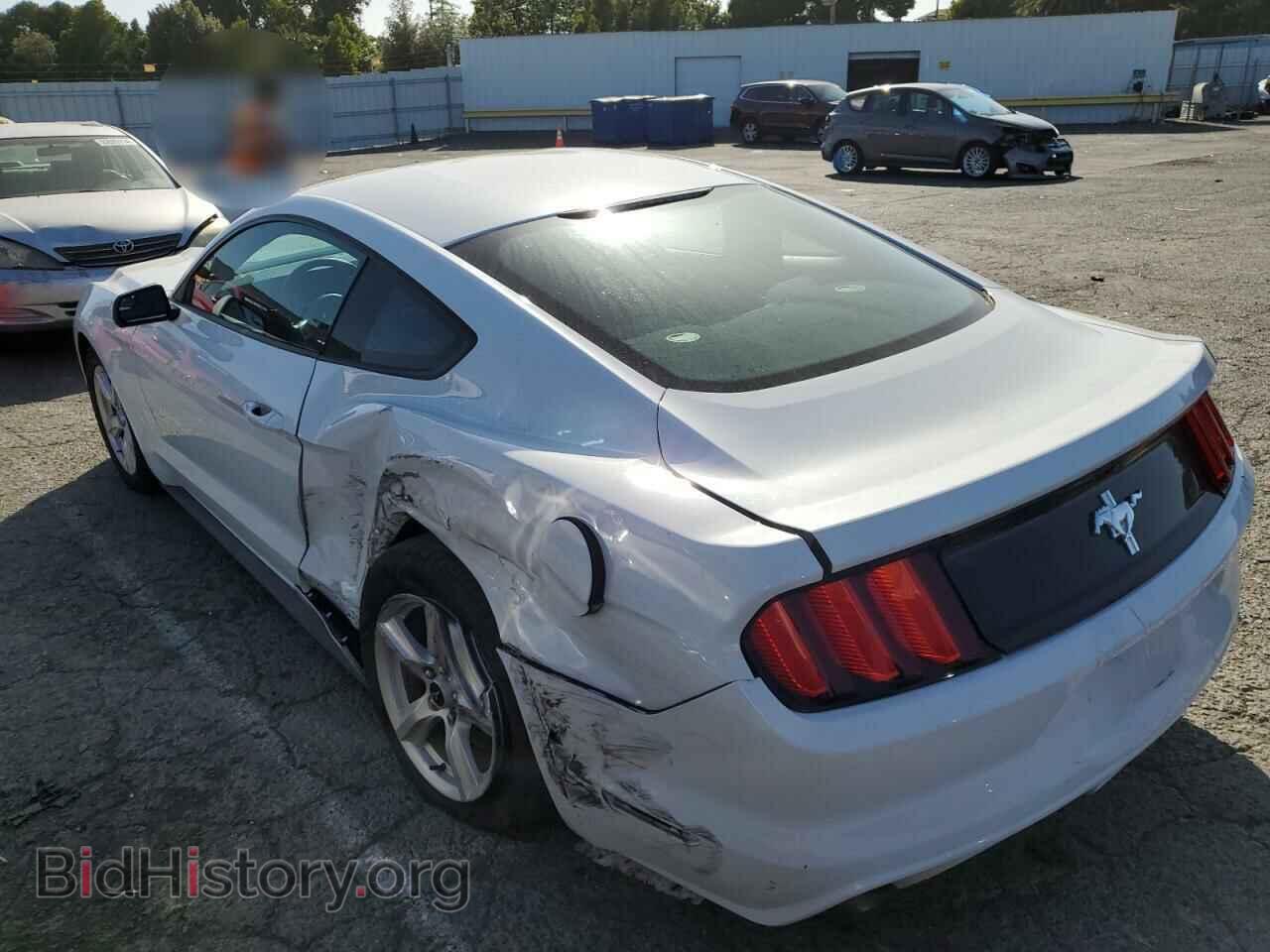 2017 FORD ALL Models - VIN: 1FA6P8AM8H5357291 - Photo 2