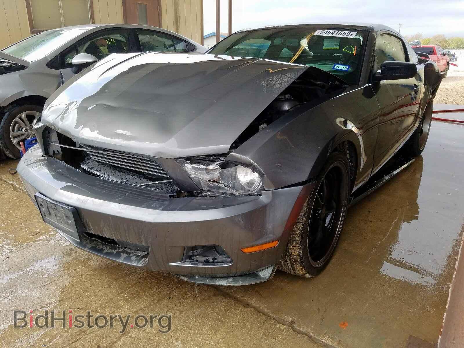 2011 FORD MUSTANG - VIN: 1ZVBP8AM1B5128819 - Фото 2