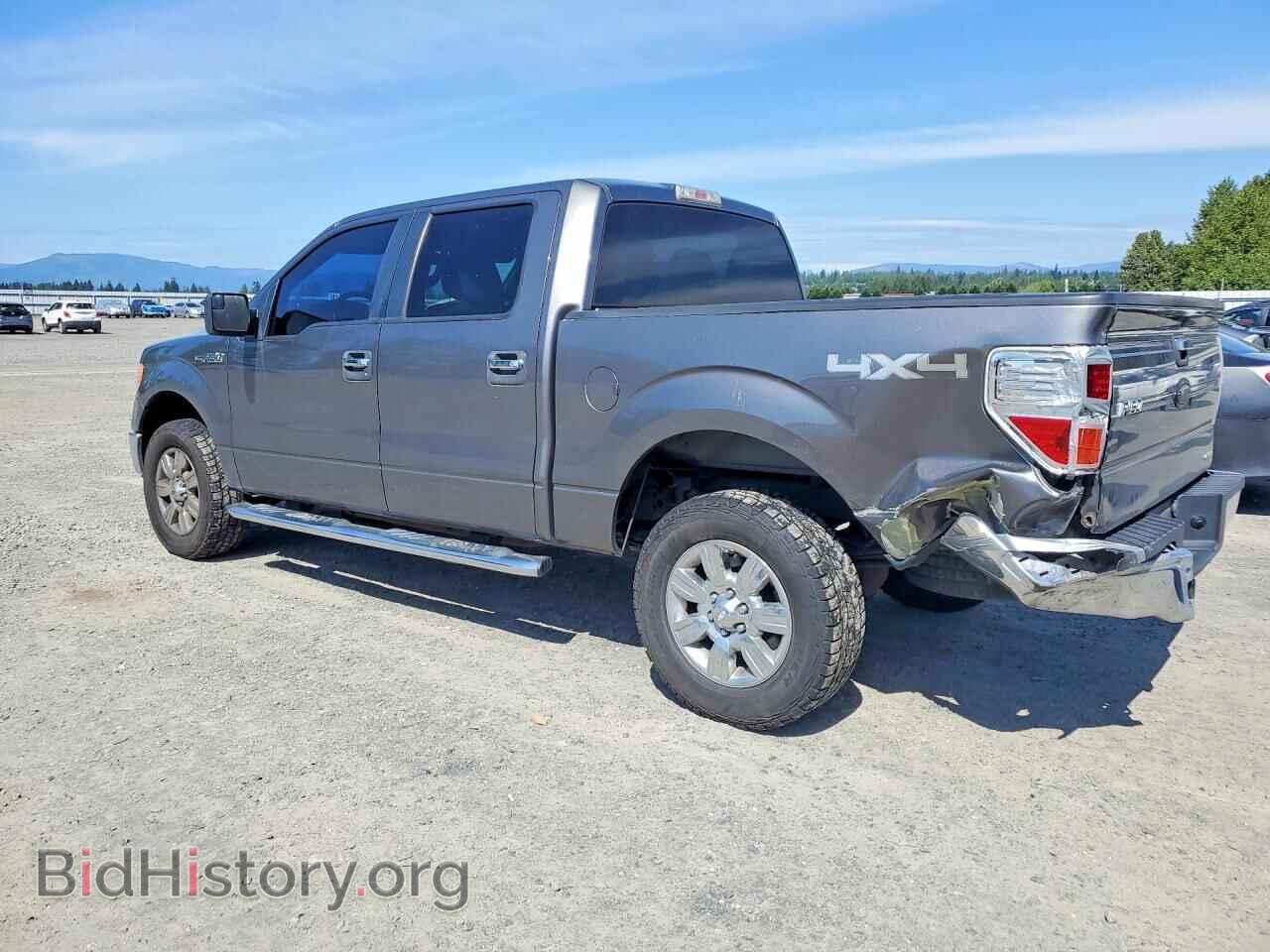 2011 FORD F150 - VIN: 1FTFW1EF0BFB08677 - Фото 2