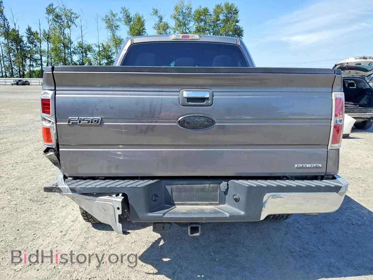 2011 FORD F150 - VIN: 1FTFW1EF0BFB08677 - Фото 6