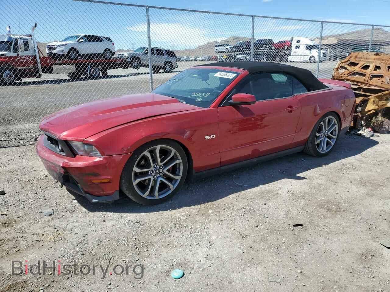 Фотография 1ZVBP8FF2B5142156 - FORD MUSTANG 2011