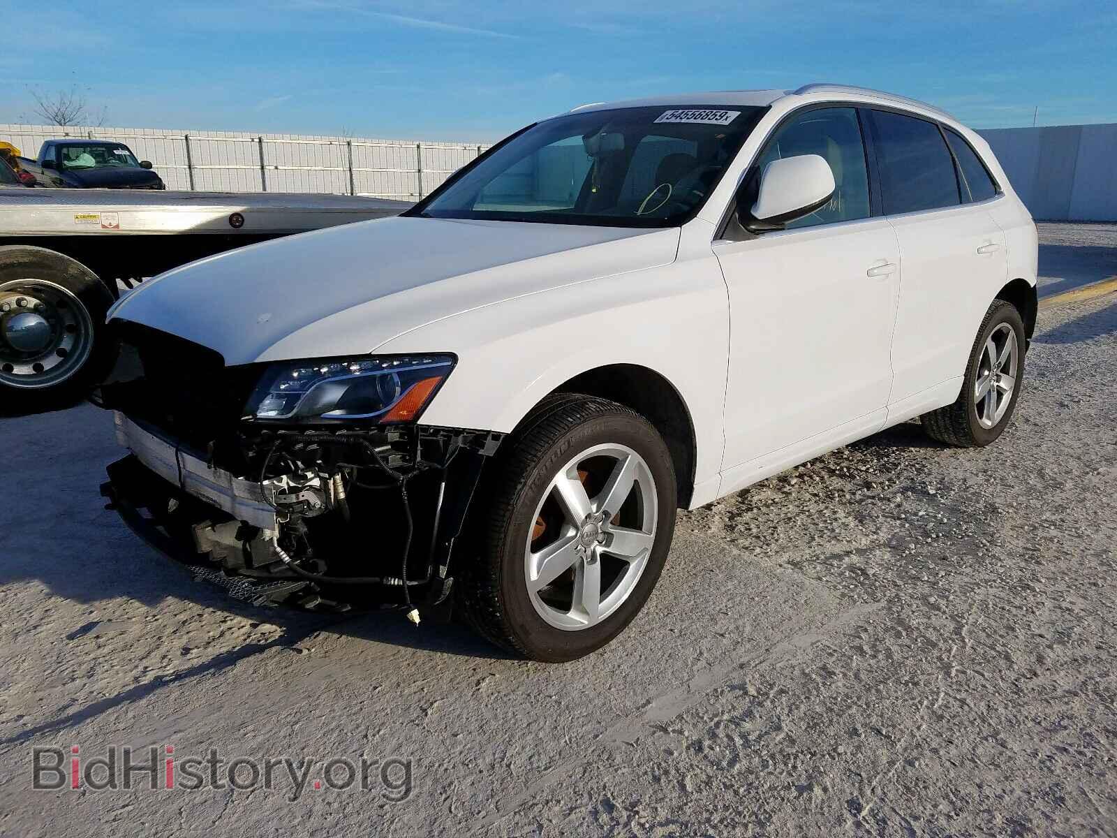 2010 AUDI Q5 - VIN: WA1LKAFPXAA099515 - Фото 2