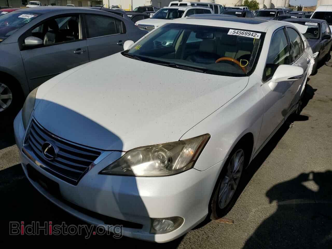 2010 LEXUS ES350 - VIN: JTHBK1EG6A2387849 - Фото 2