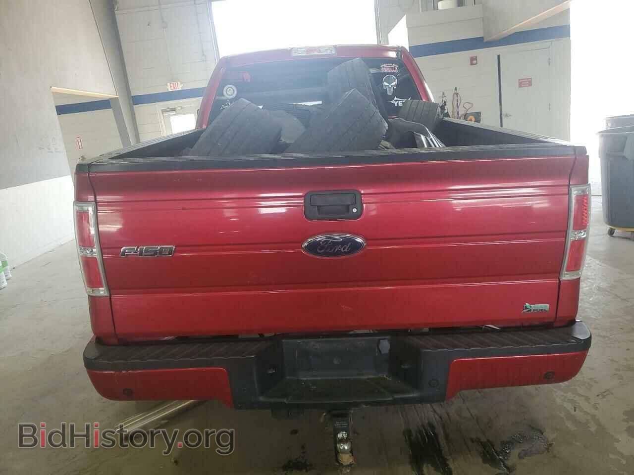 2010 FORD F-150 - VIN: 1FTFX1EV2AFA50509 - Фото 6