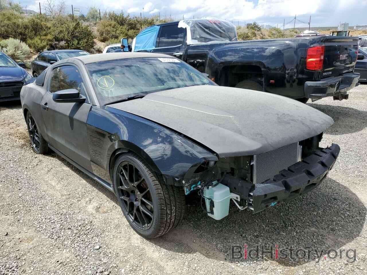 Photo 1ZVBP8AM2C5267617 - FORD MUSTANG 2012