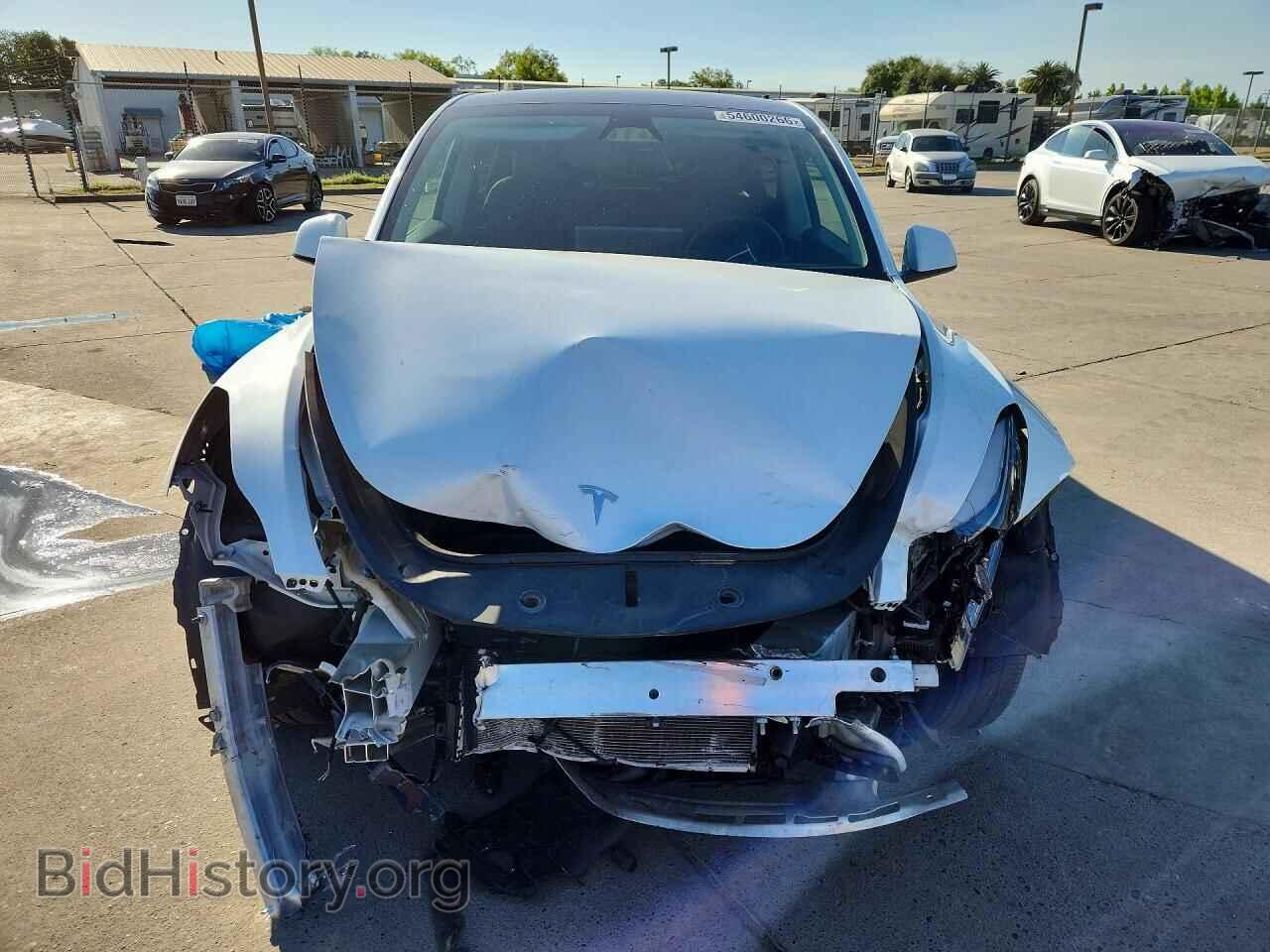 2024 TESLA MODEL Y - VIN: 7SAYGDEF1RF181551 - Photo 5