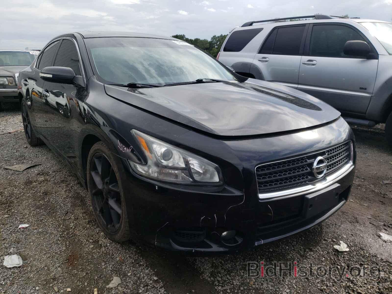 Photo 1N4AA5AP5BC805381 - NISSAN MAXIMA 2011