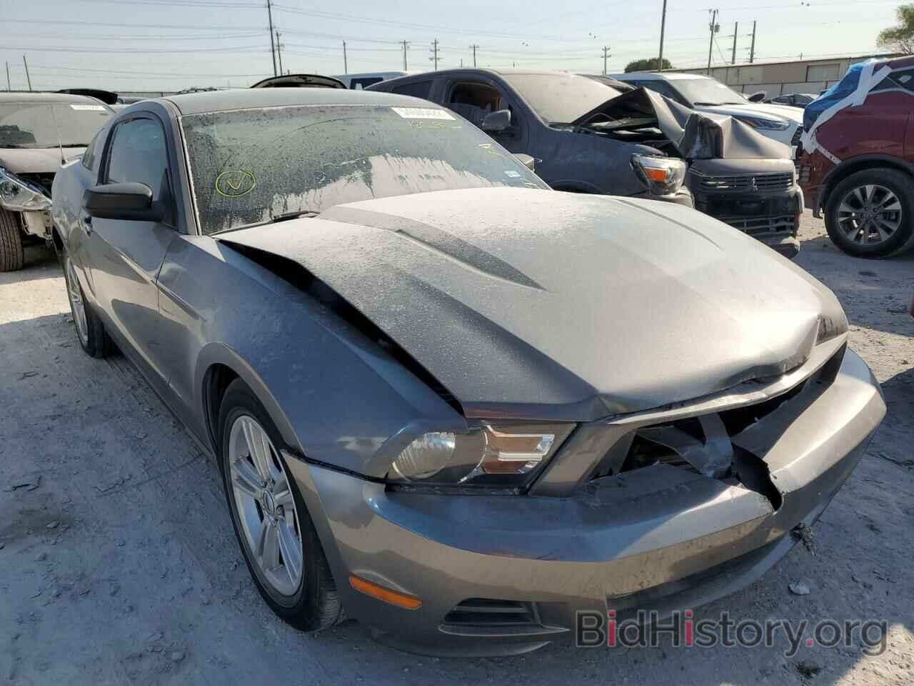 Photo 1ZVBP8AN8A5160299 - FORD MUSTANG 2010