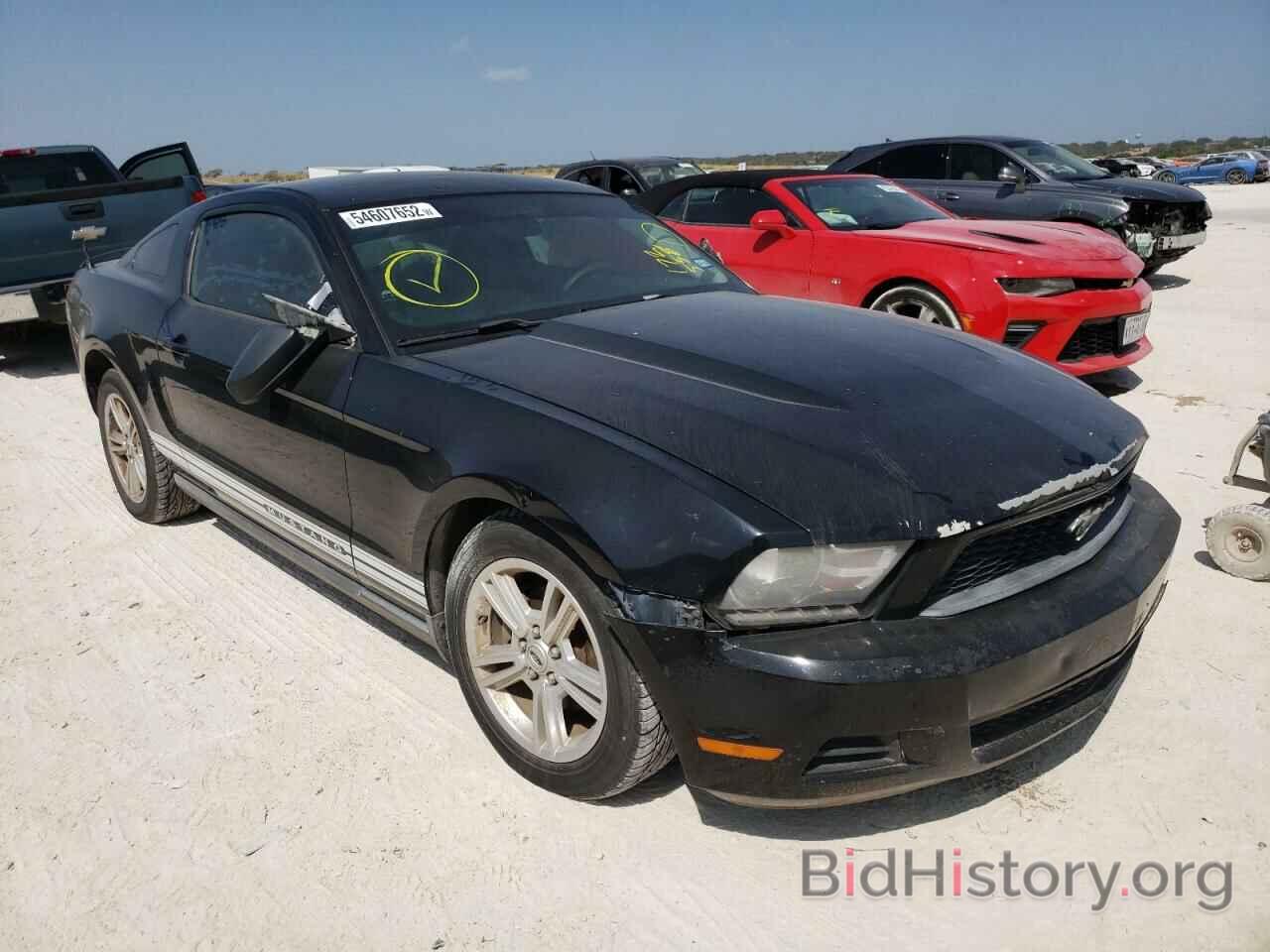 Photo 1ZVBP8AN0A5172558 - FORD MUSTANG 2010