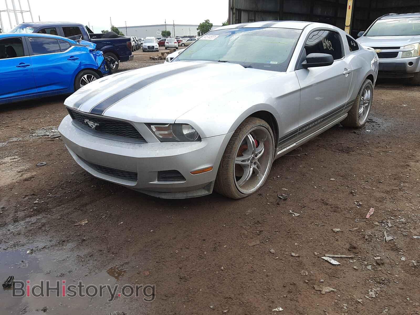 2011 FORD MUSTANG - VIN: 1ZVBP8AM6B5111711 - Фото 2