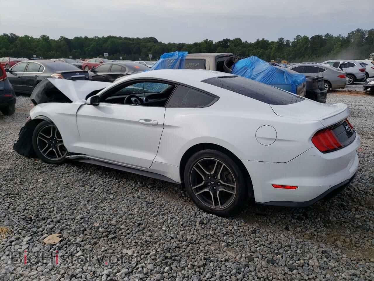 2019 FORD ALL Models - VIN: 1FA6P8TH0K5117868 - Фото 2