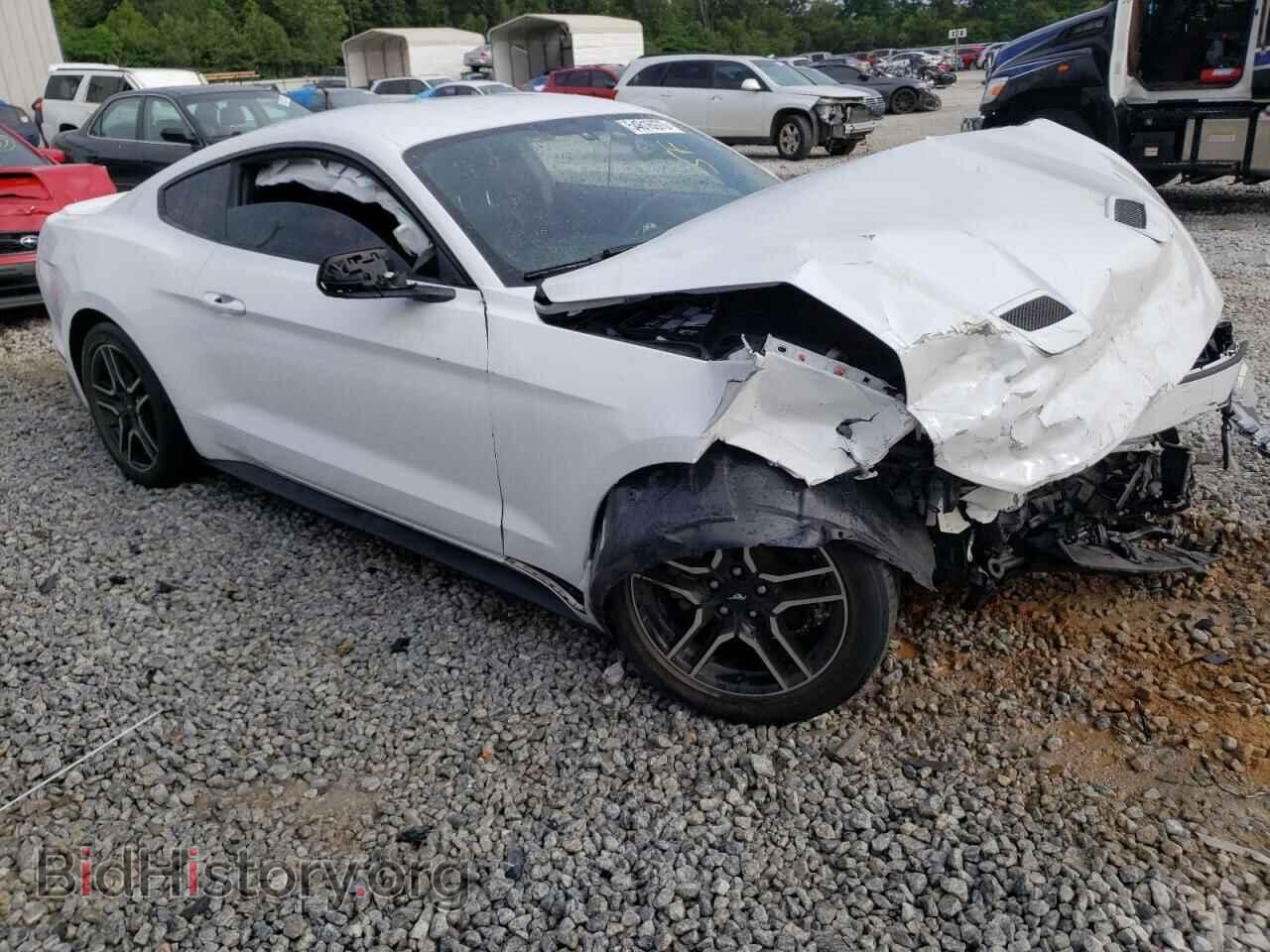 2019 FORD ALL Models - VIN: 1FA6P8TH0K5117868 - Фото 4