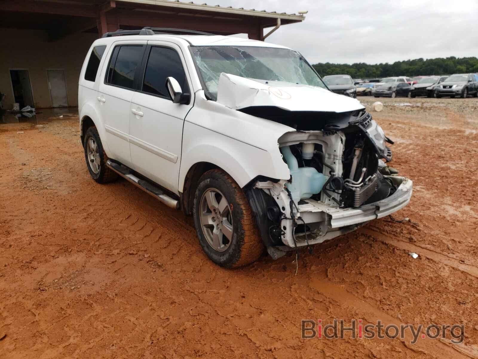 Photo 5FNYF3H44BB010836 - HONDA PILOT 2011