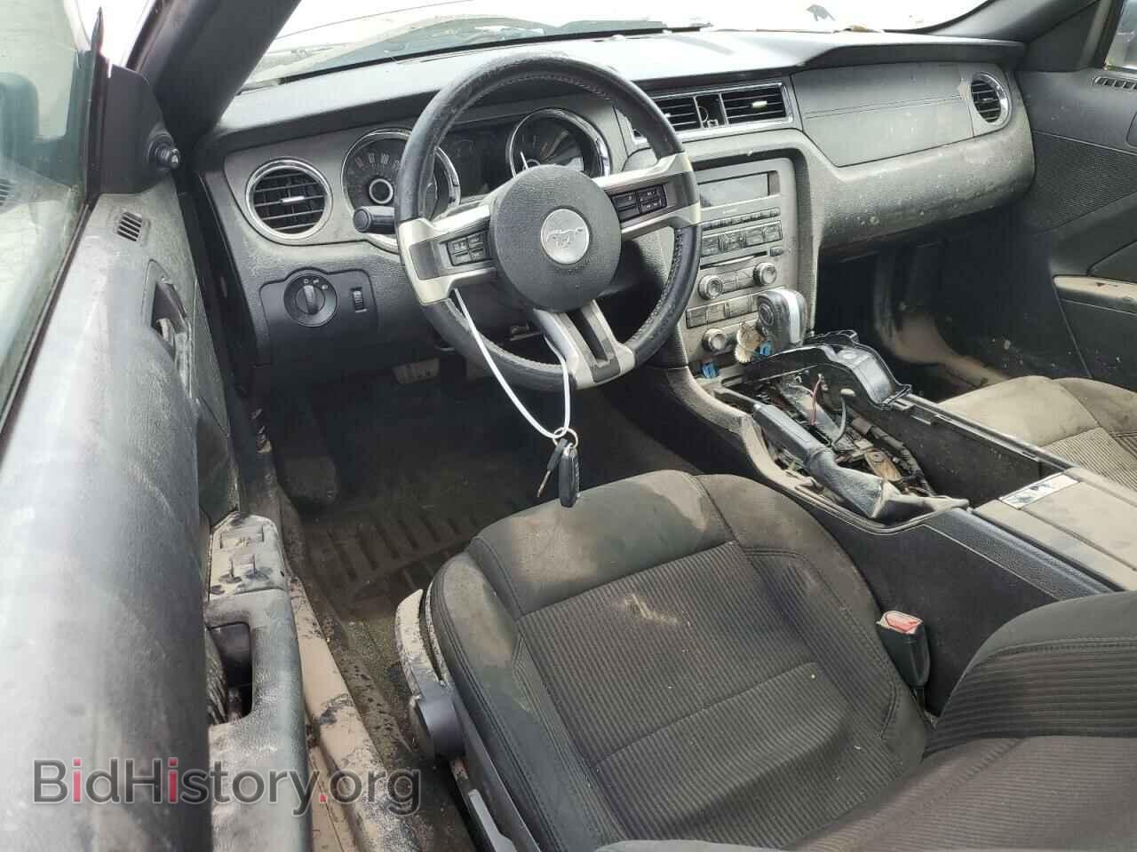 2013 FORD ALL Models - VIN: 1ZVBP8EM4D5272488 - Photo 8