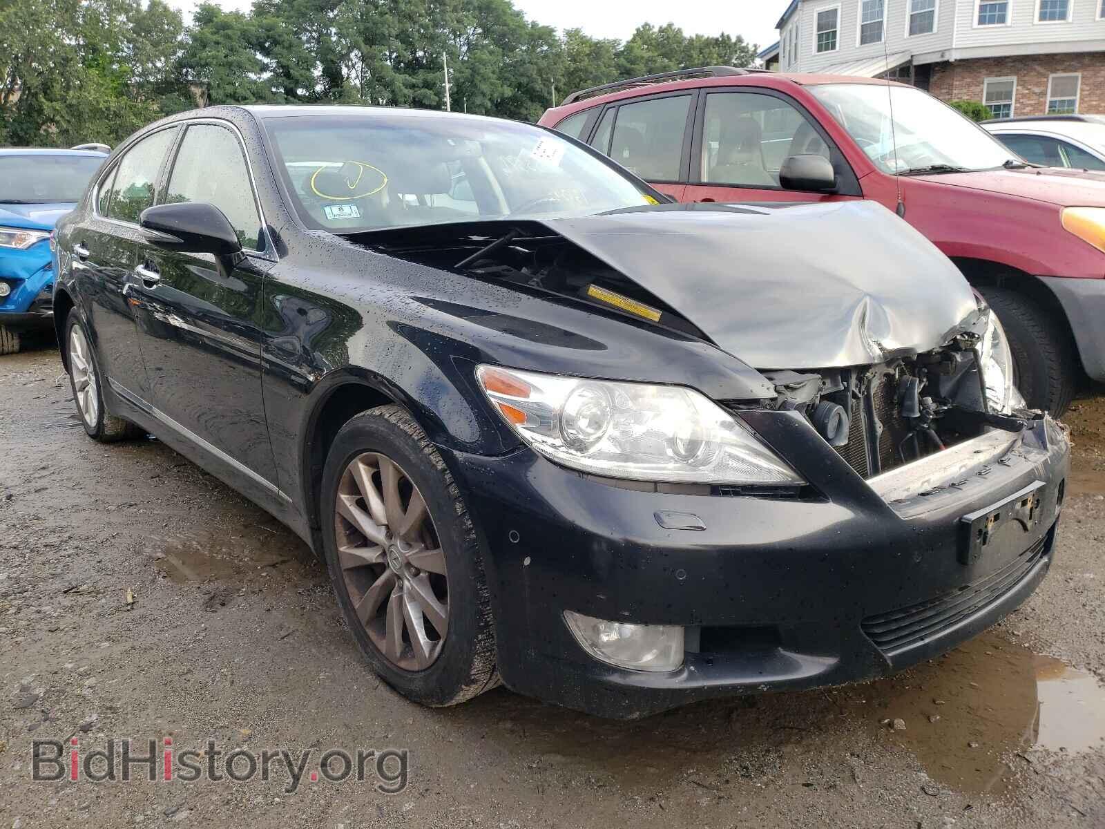 Фотография JTHCL5EF0B5010255 - LEXUS LS460 2011