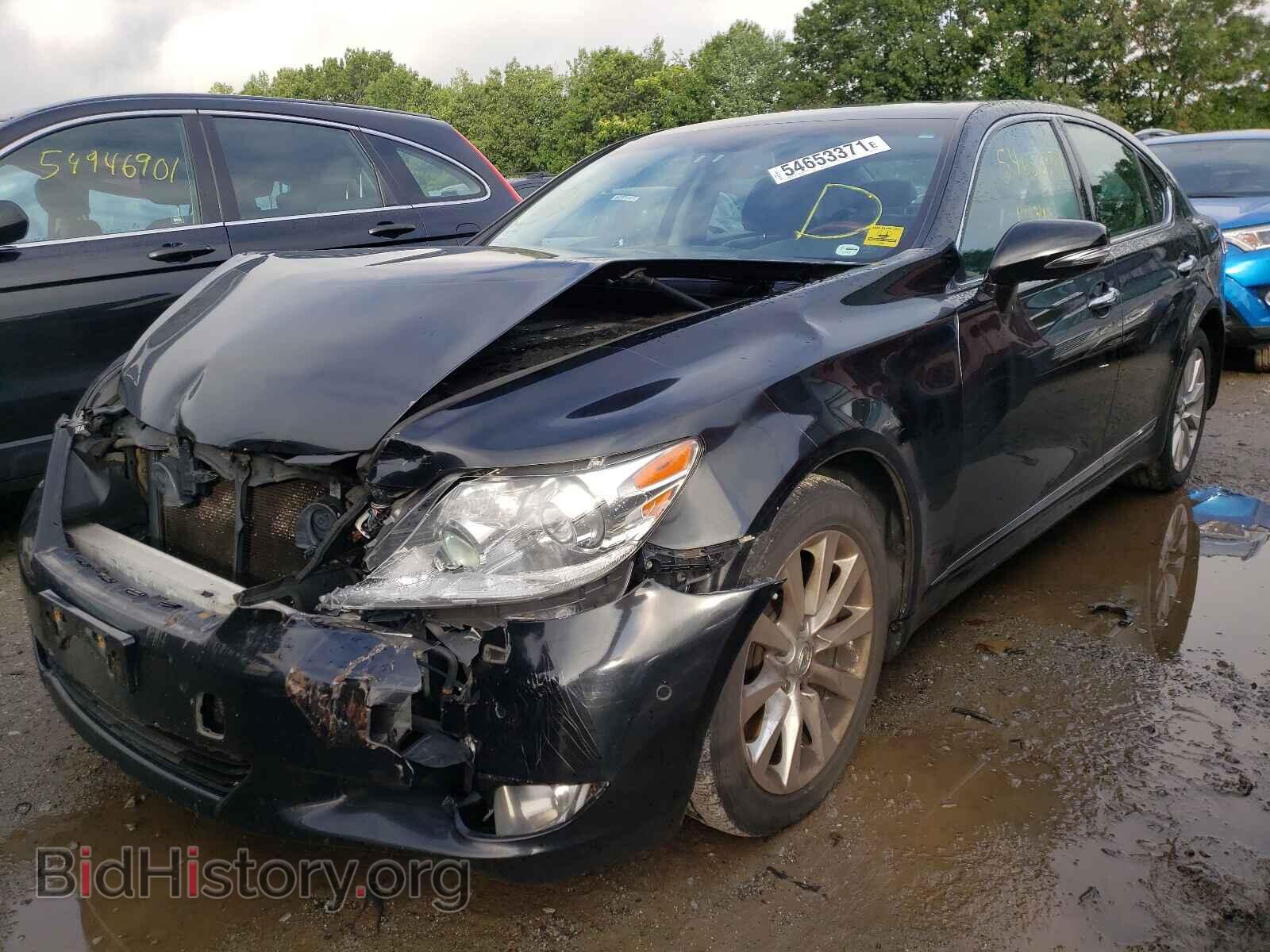 2011 LEXUS LS460 - VIN: JTHCL5EF0B5010255 - Фото 2