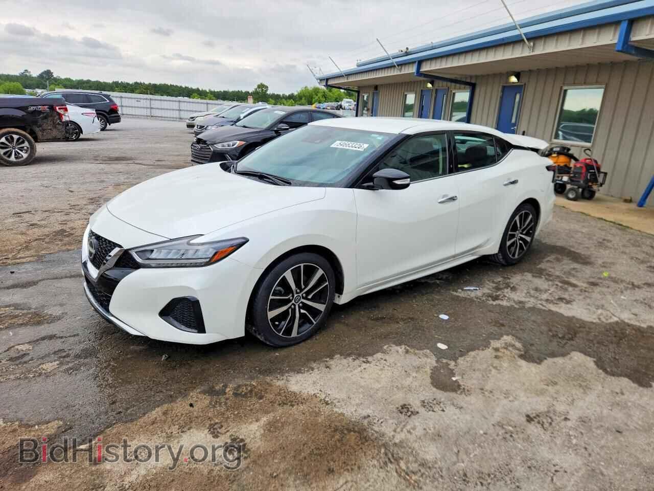 Photo 1N4AA6CV9PC509112 - NISSAN MAXIMA 2023