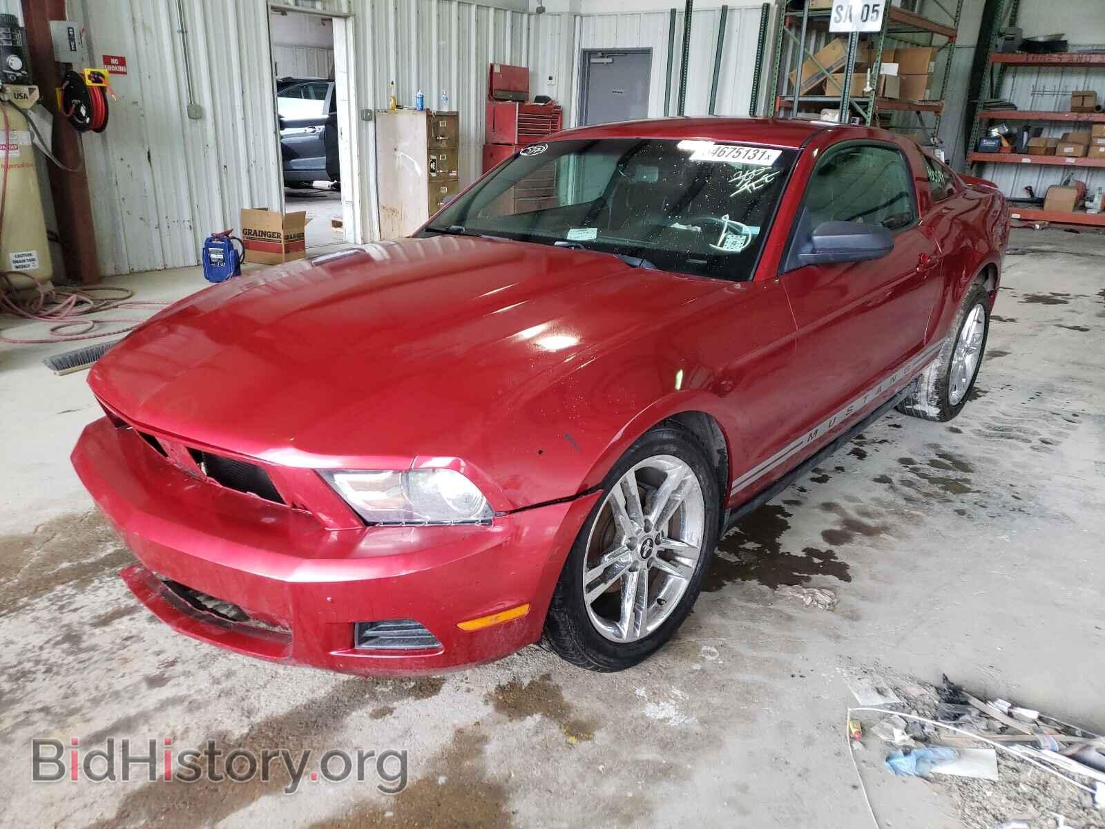 2010 FORD MUSTANG - VIN: 1ZVBP8AN7A5140819 - Фото 2