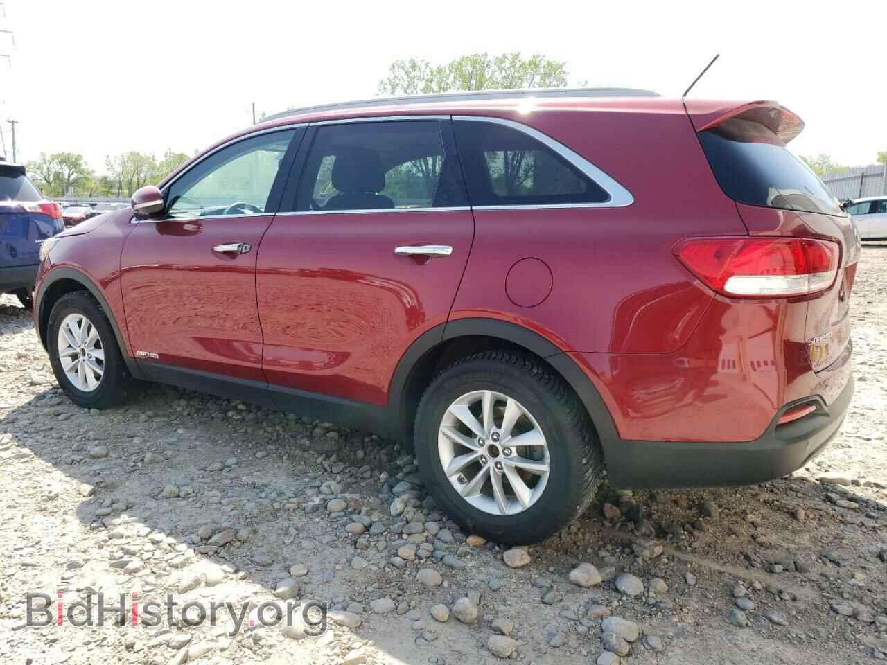 2017 KIA SORENTO - VIN: 5XYPGDA59HG212851 - Фото 2