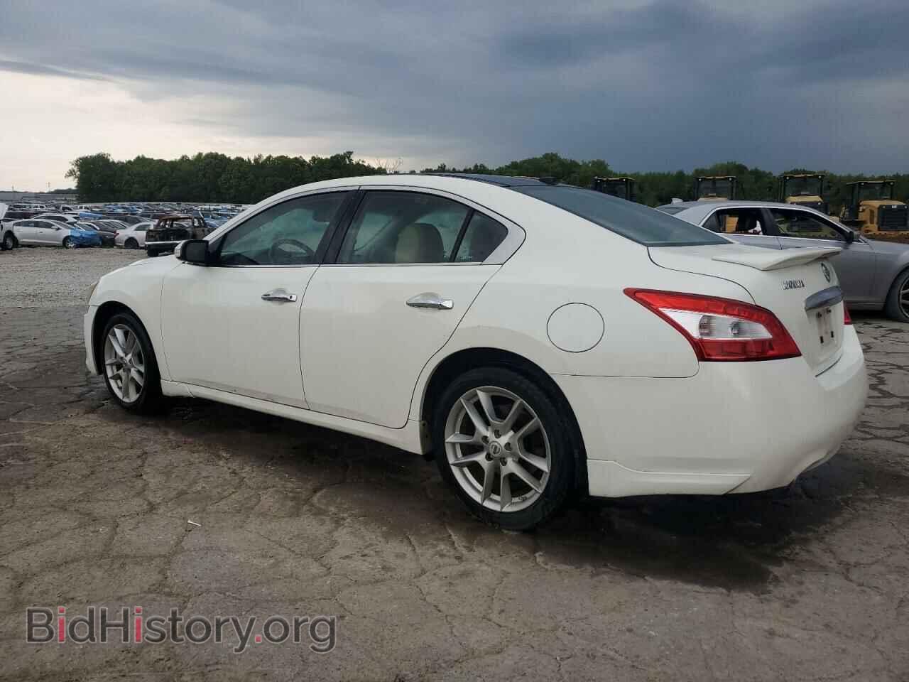 2011 NISSAN MAXIMA - VIN: 1N4AA5AP0BC803067 - Фото 2
