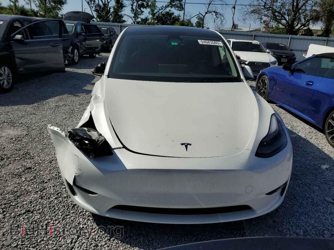 2024 TESLA MODEL Y - VIN: 7SAYGDED3RF131376 - Фото 5