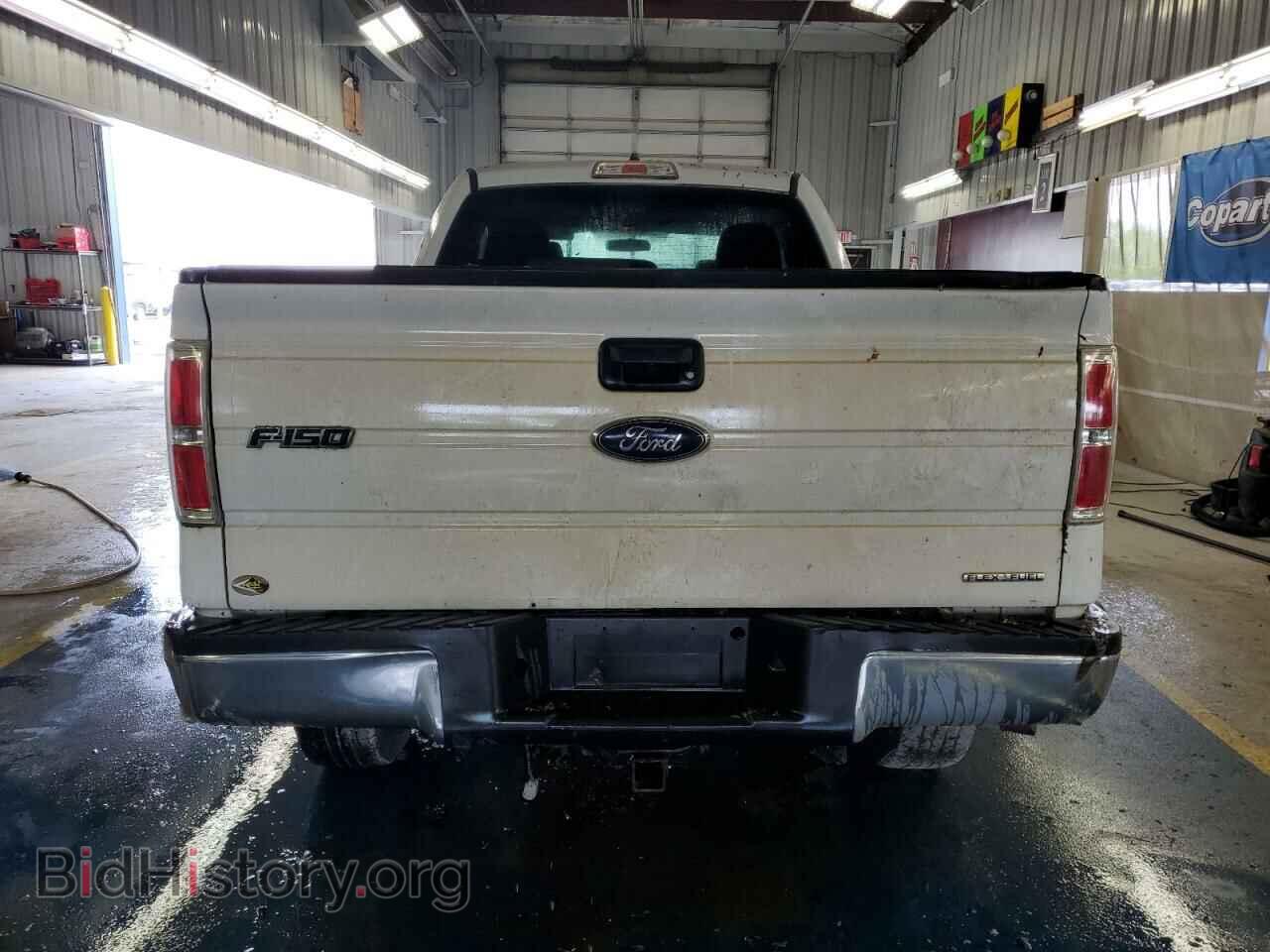 2013 FORD F-150 - VIN: 1FTFX1EF0DFC89182 - Фото 6