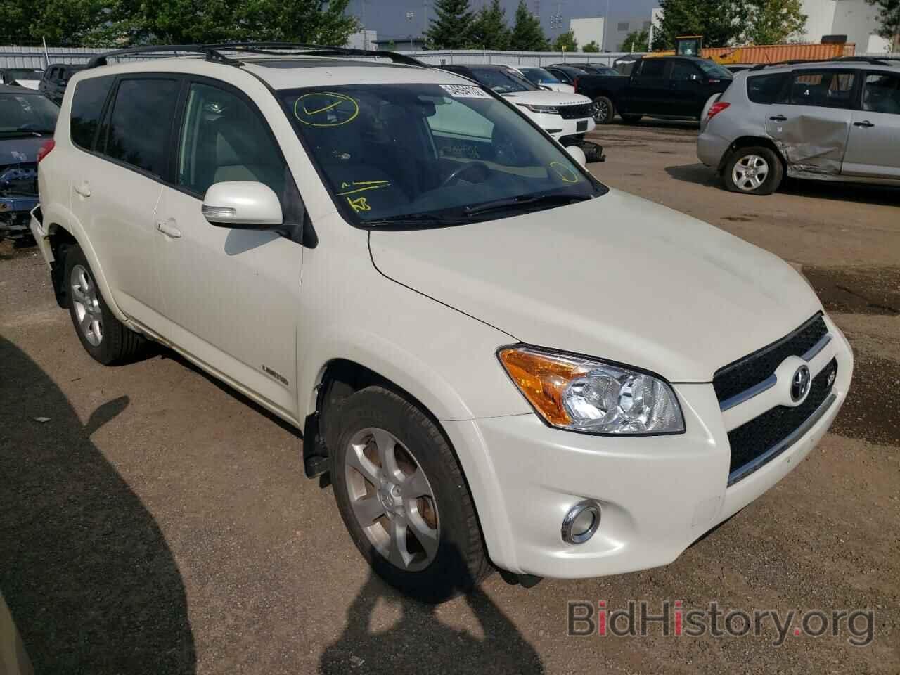 Photo JTMBK31V095072556 - TOYOTA RAV4 2009