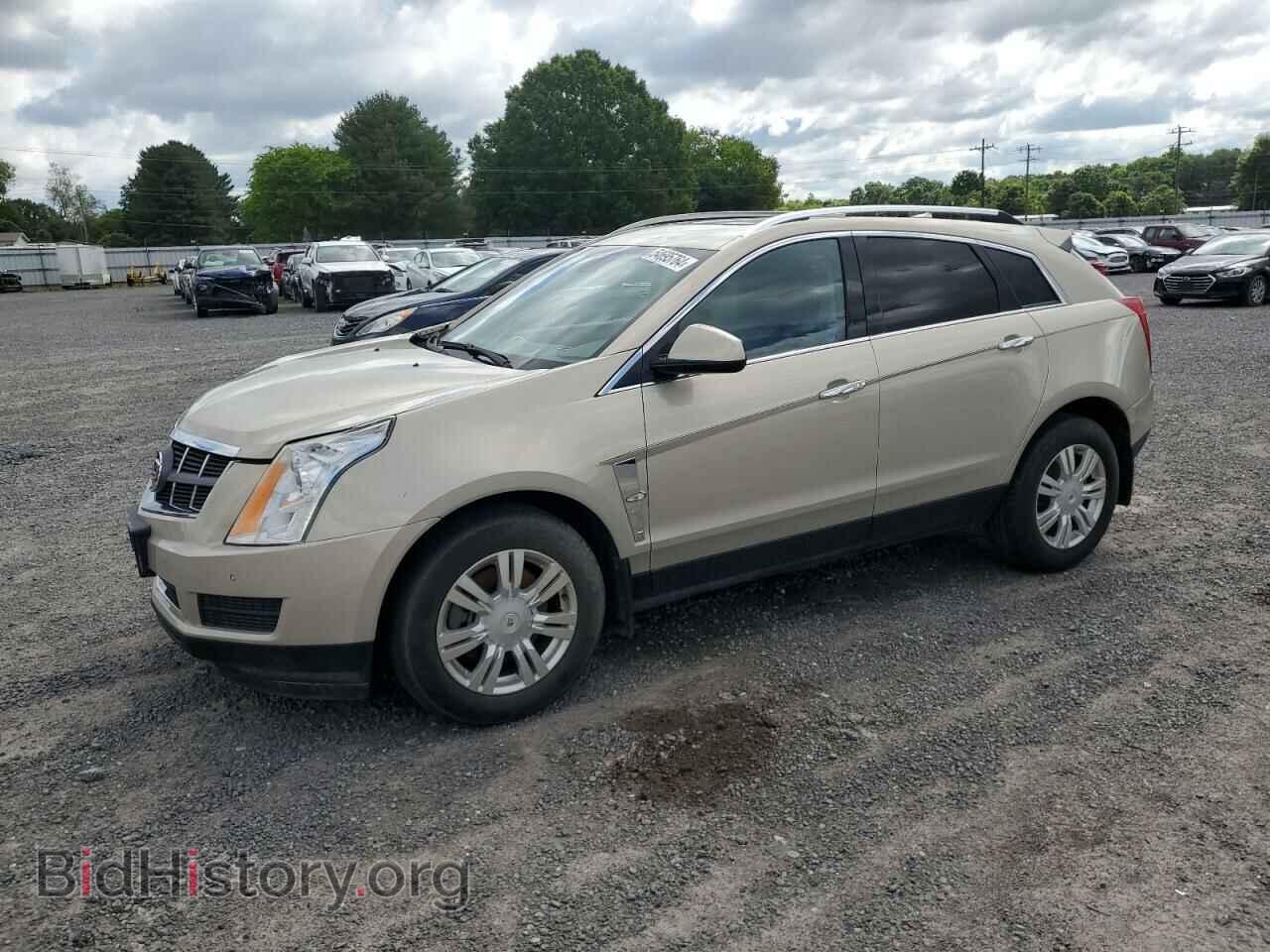 Фотография 3GYFNAE30CS617703 - CADILLAC SRX 2012