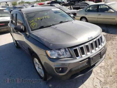2011 Jeep COMPASS Compass SP, gray — VIN 1J4NT1FB2BD290775, Copart