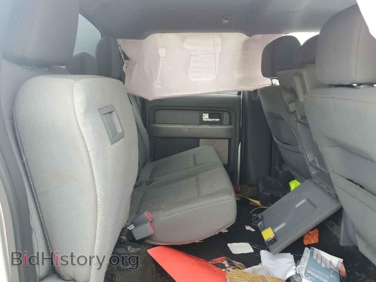 2013 FORD F-150 - VIN: 1FTFW1EF5DFD90432 - Фото 10