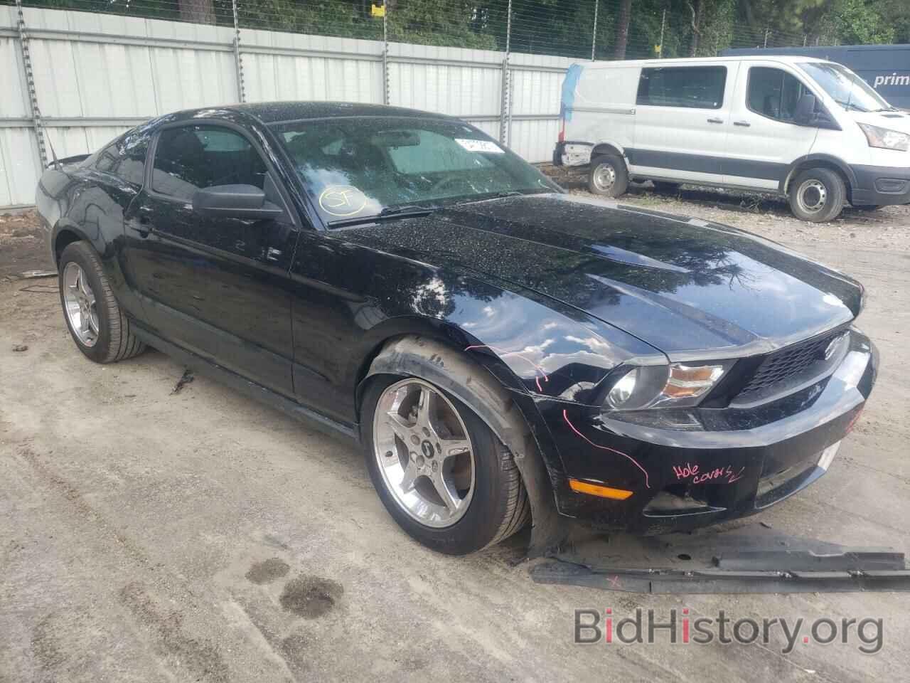 Photo 1ZVBP8AM6C5233812 - FORD MUSTANG 2012